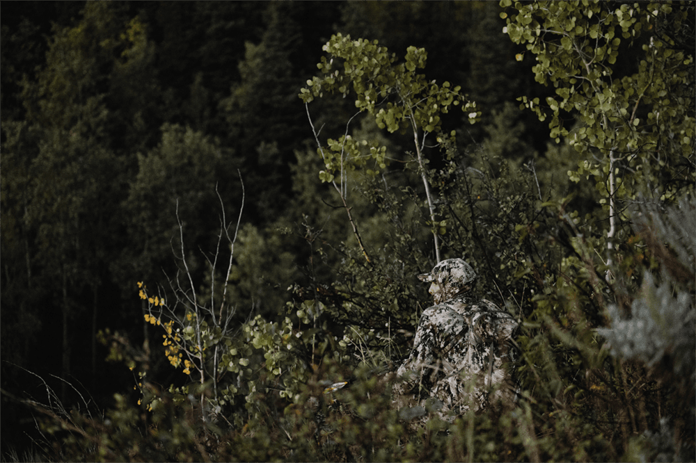 Optifade Subalpine | SITKA Gear