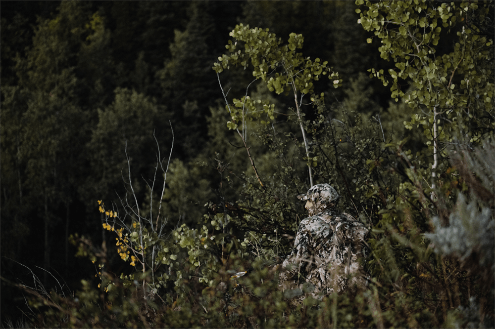 Optifade Subalpine | SITKA Gear