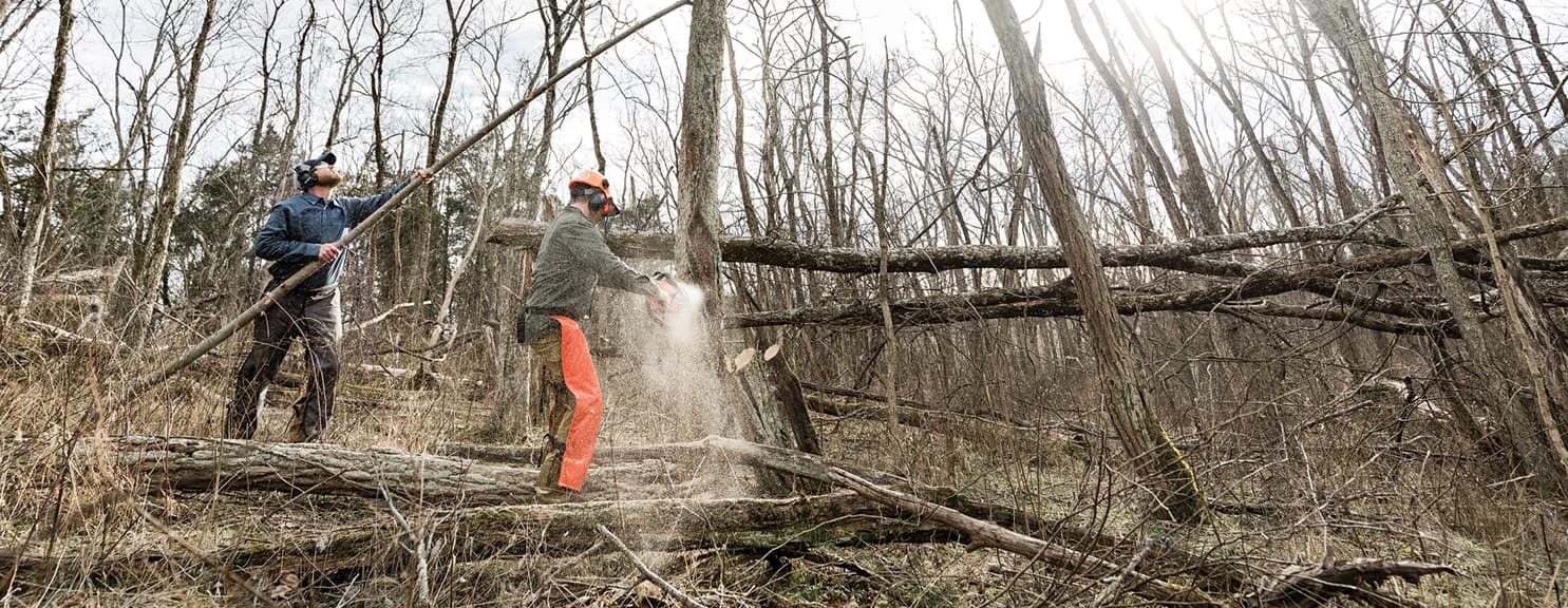 image/jpeg | Habitat-Restoration.jpg
