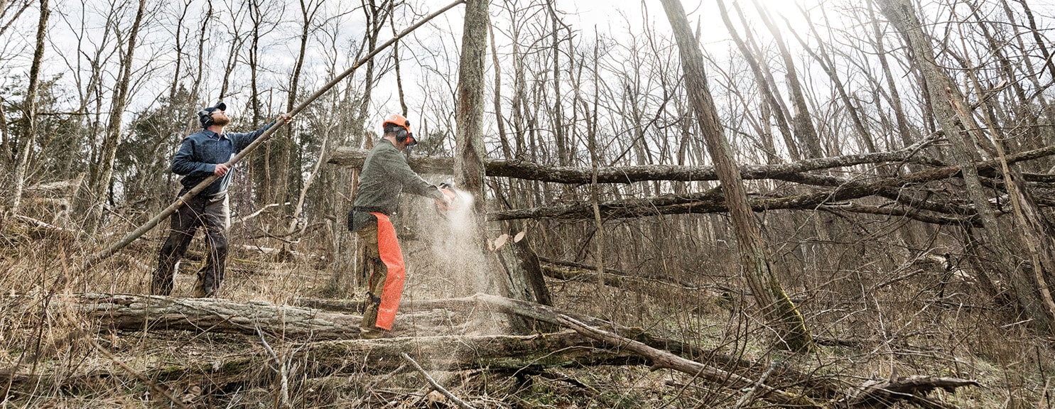 image/jpeg | Habitat-Restoration.jpg