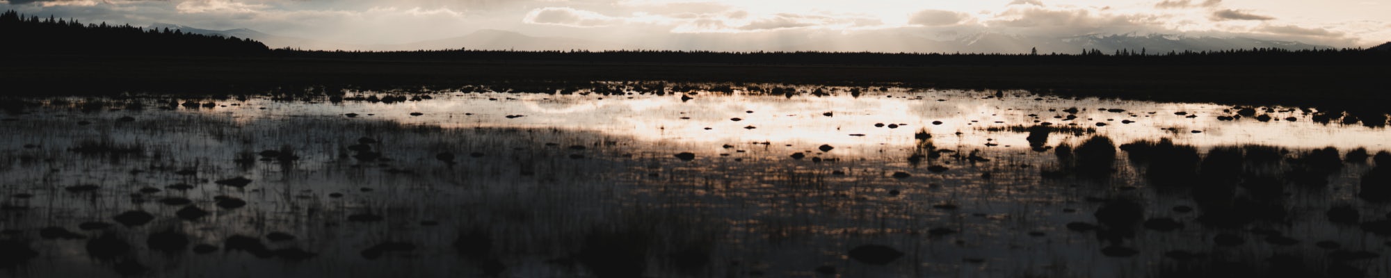 Sunrise over a marsh | SITKA Gear