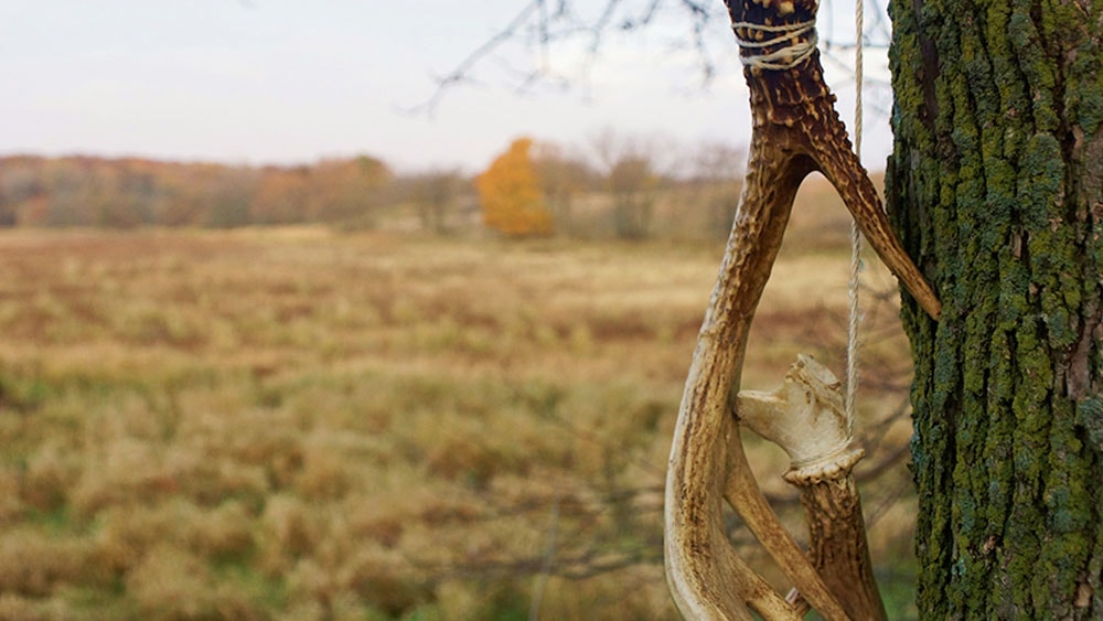 image/jpeg | A-Four-Year-Wait-Plays-Tricks-On-Your-Mind.jpg