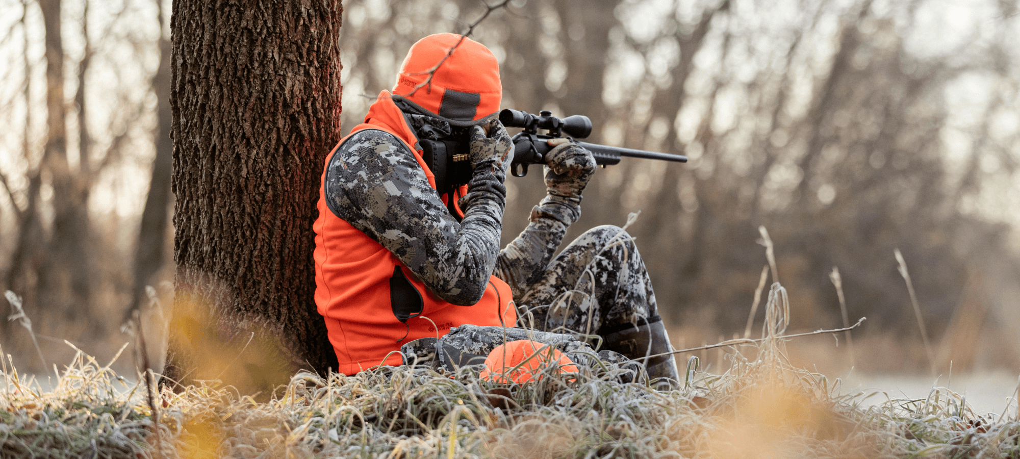 Where to shoot a deer