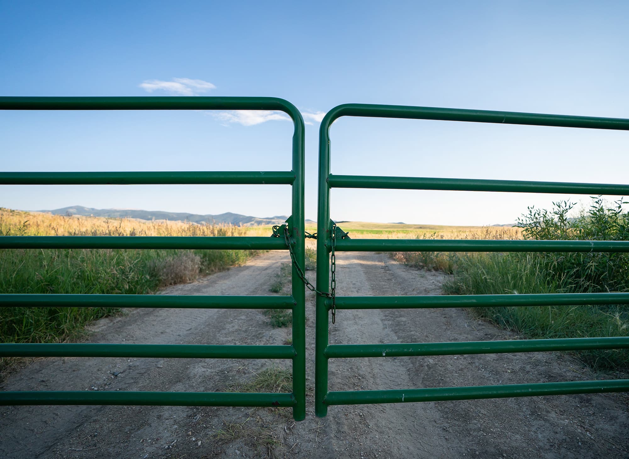 image/jpeg | Knocking-on-Doors.jpg