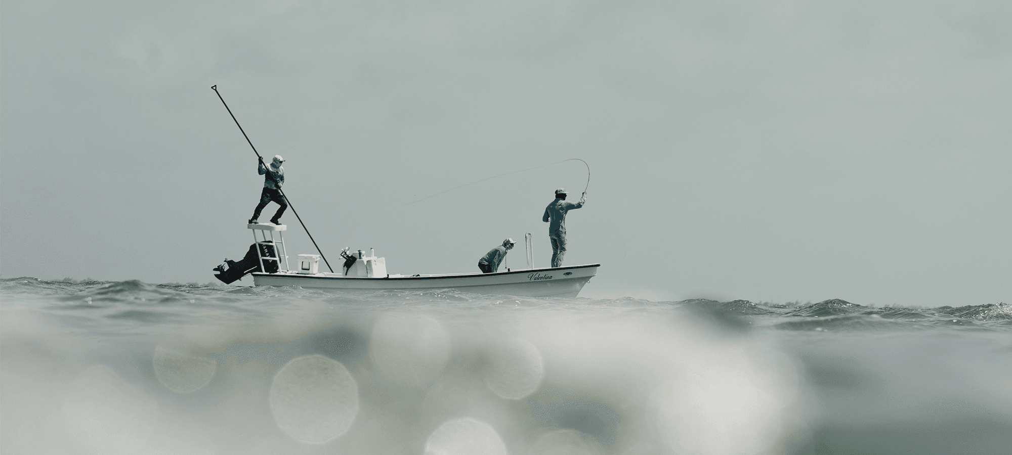 feathers-to-fins-7