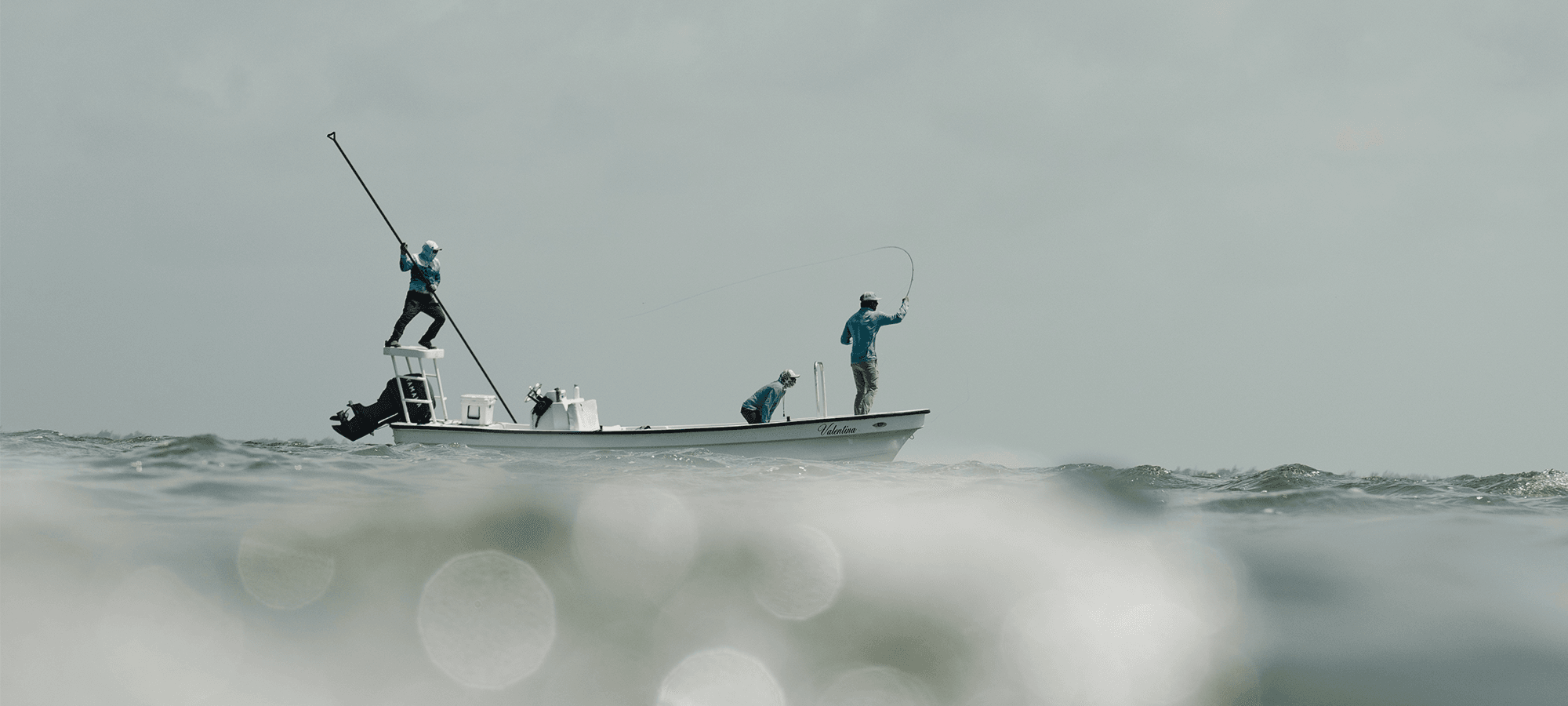 feathers-to-fins-7