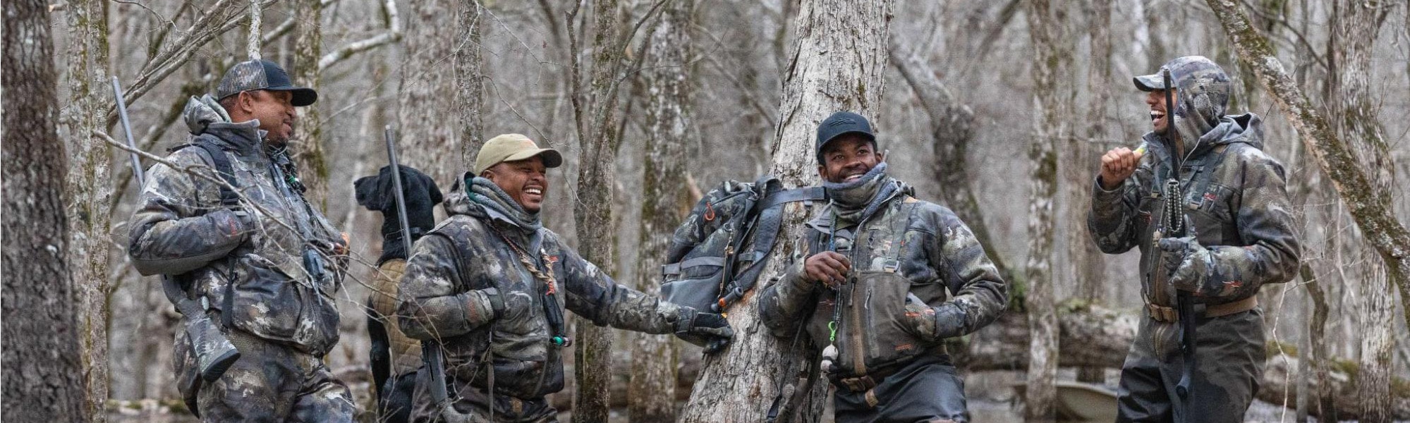 image/jpeg | image2.jpg