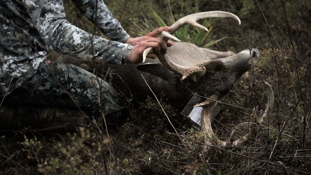 image/jpeg | Heres-to-the-Crazy-Ones.jpg