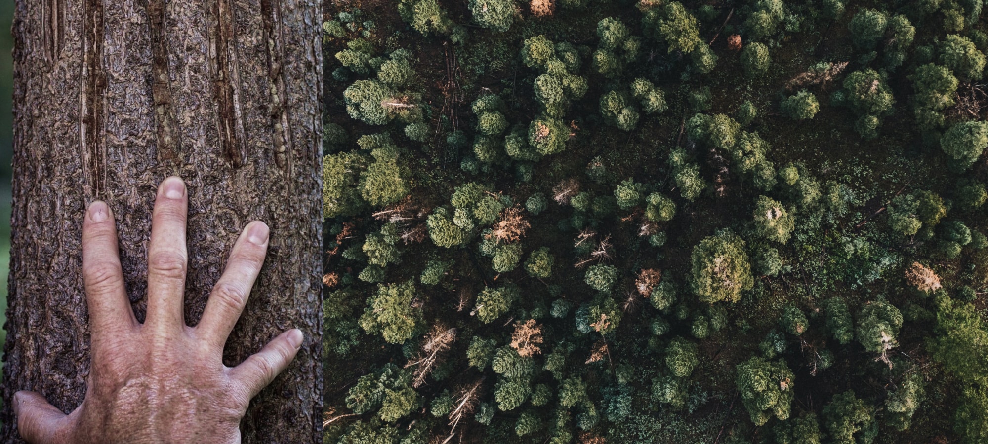 Sitka Ecosystem Grants