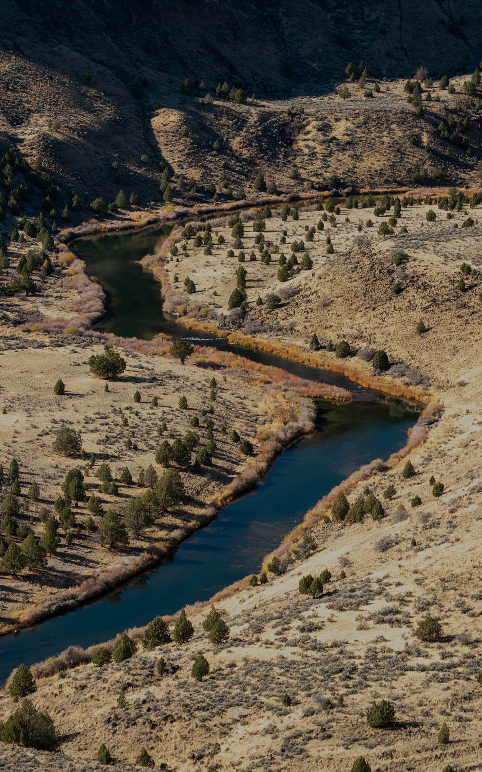 Overlooking a river