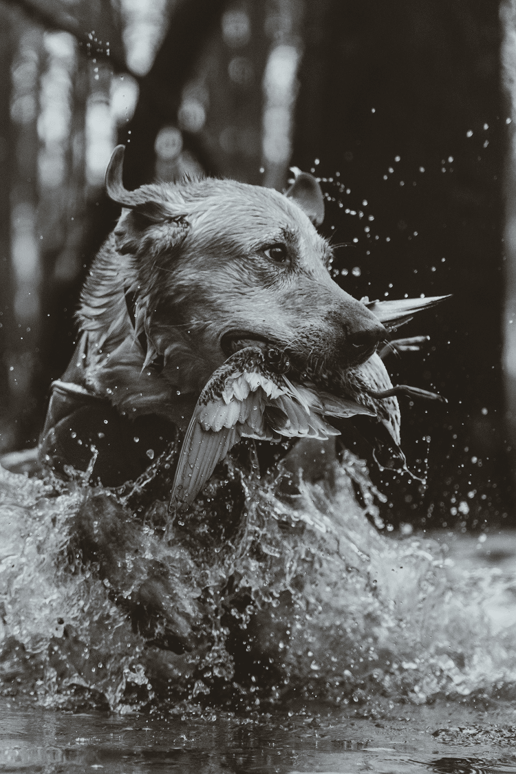 ChristopherOwens