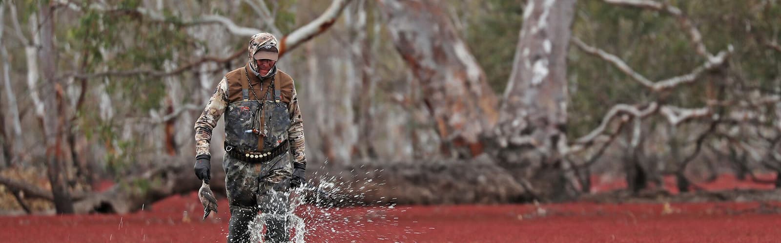 image/jpeg | The-Experience-Collector.jpg