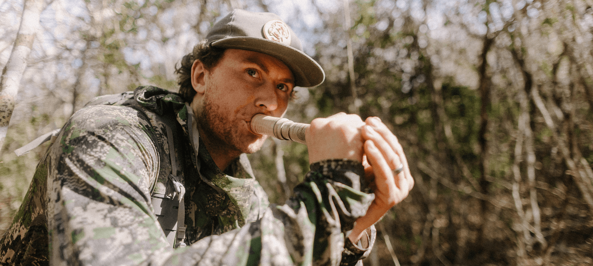 feathers-to-fins-4