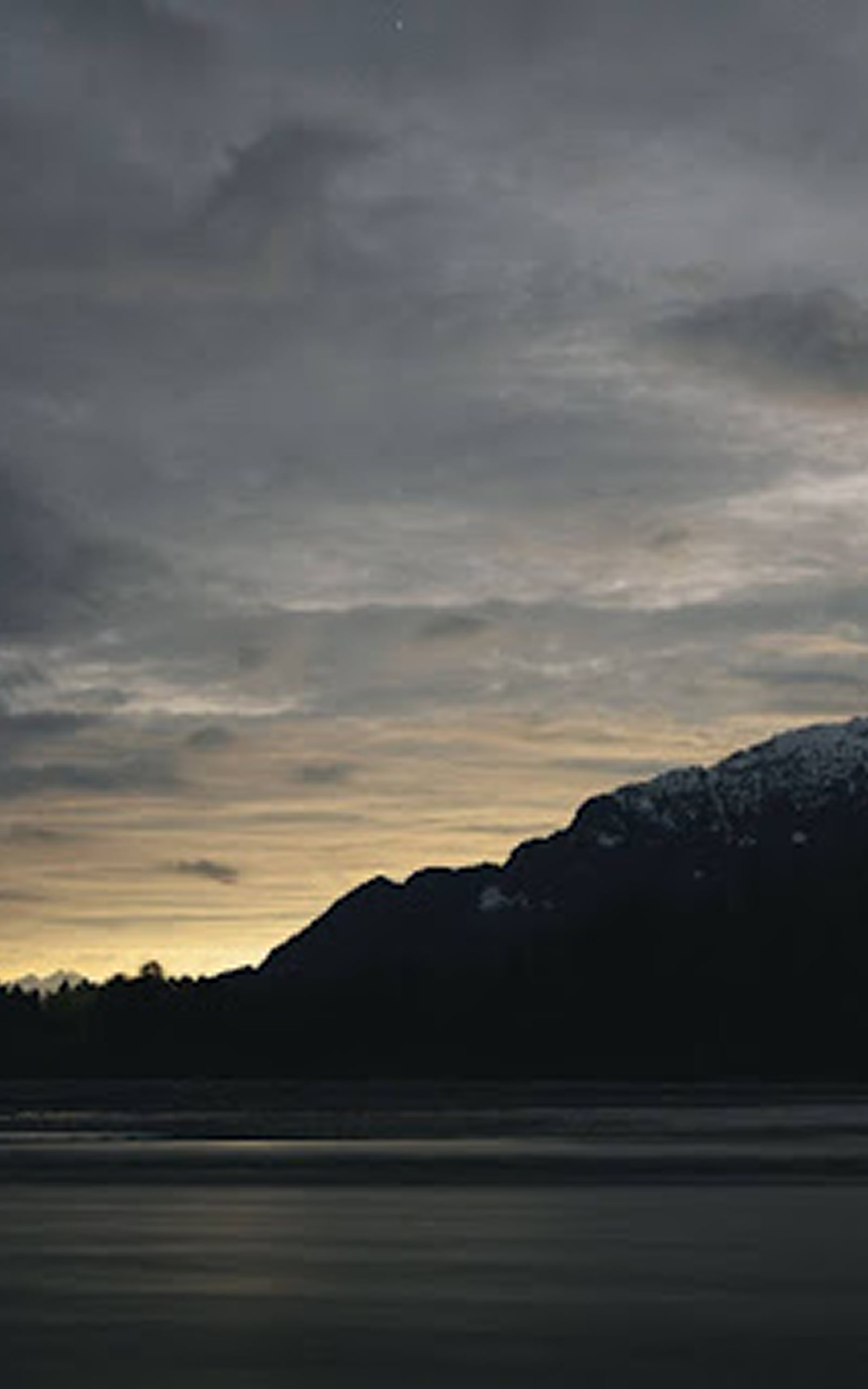 8 Bear Hunting Tips: How to Hunt Bear