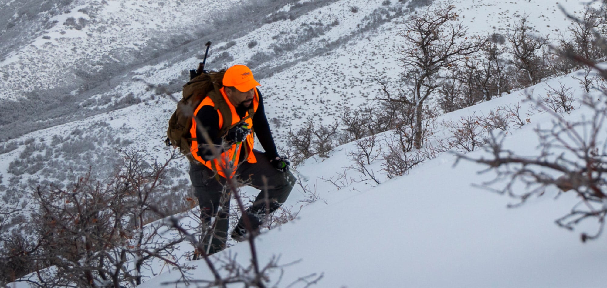 Mountainside Vindication