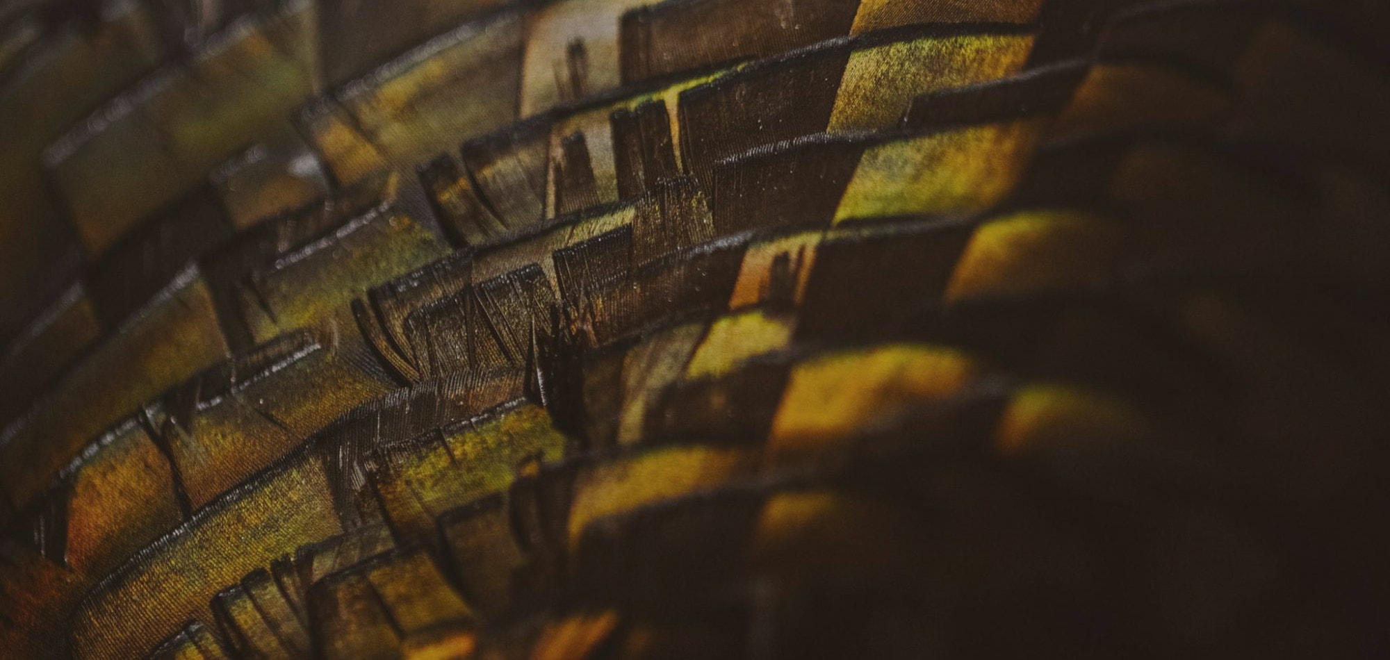 image/jpeg | header-2.jpg