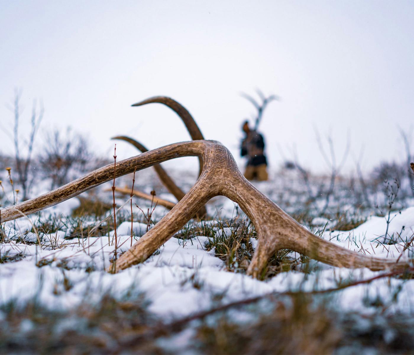 Ladies Night Introduction to Shed Hunting | SITKA Depot
