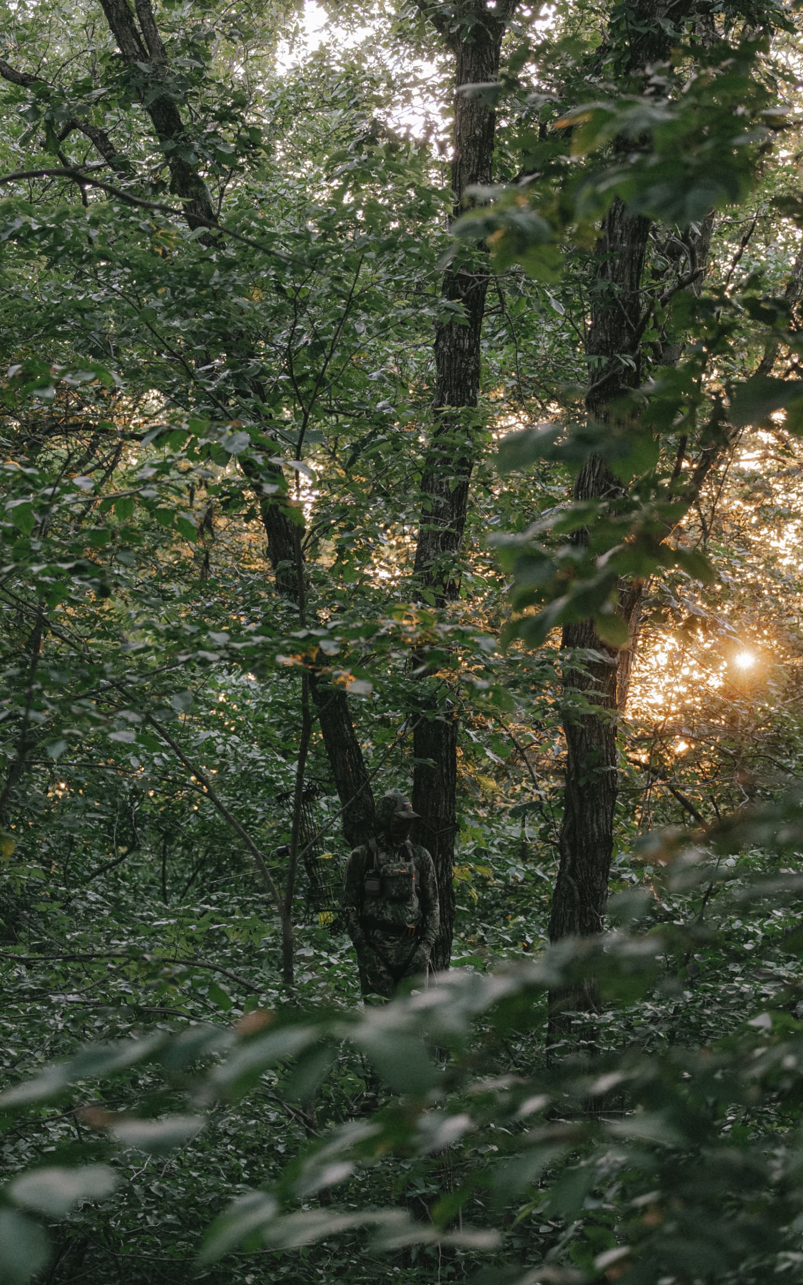 Chris Bee in Optifade Cover in a treestand | SITKA Gear