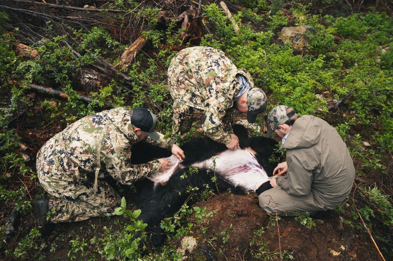 bear-hunting-tips-image-3