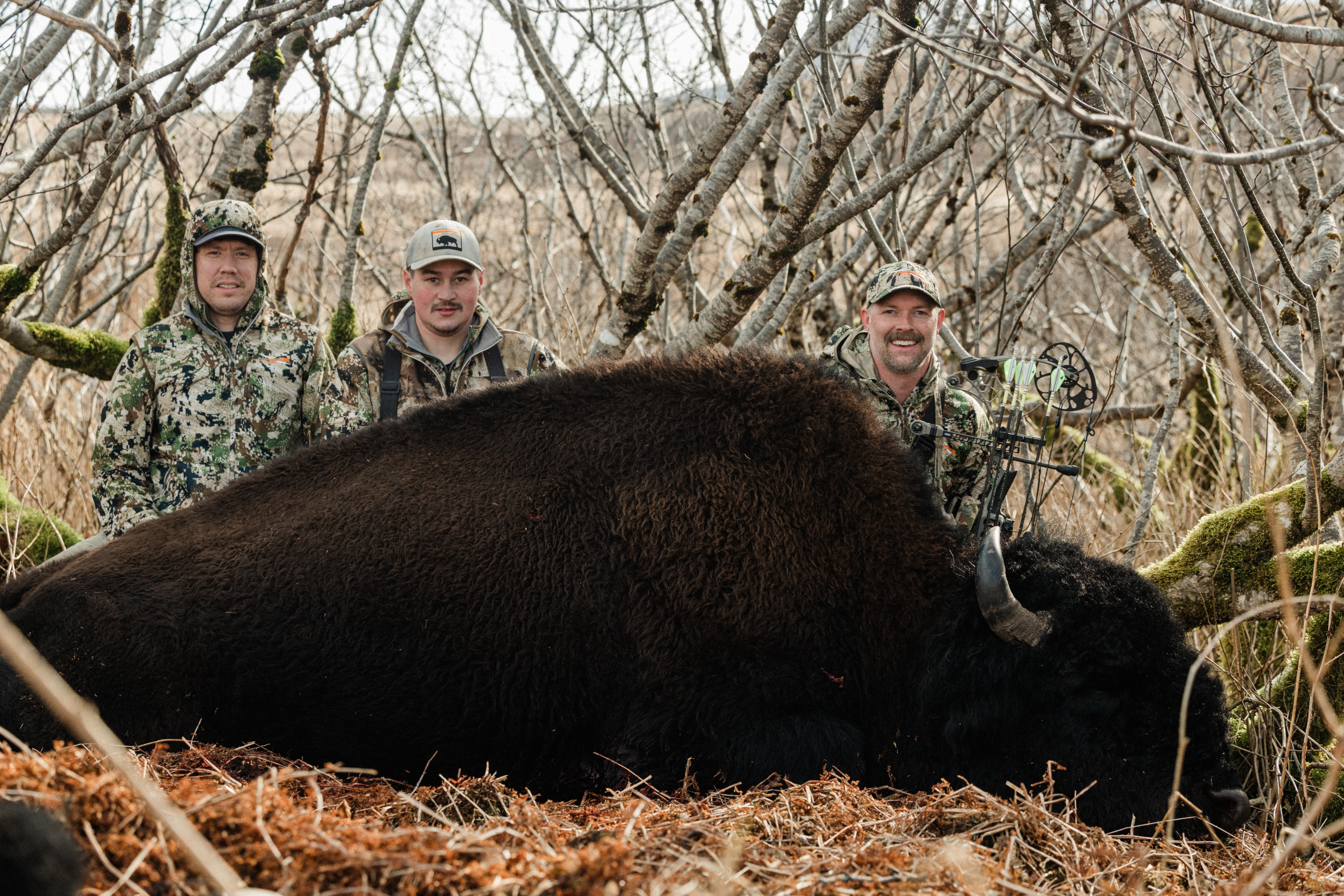 Marketing | Blog | Bison 5