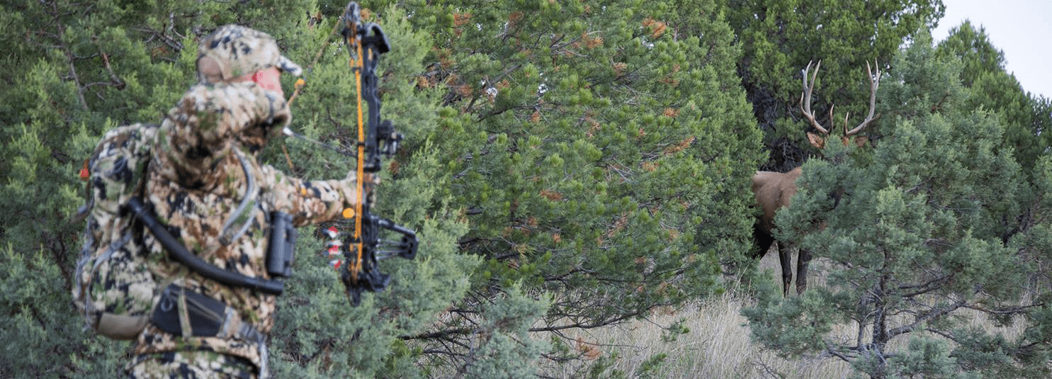 Camo vs. Concealment: Through the Eyes of Prey