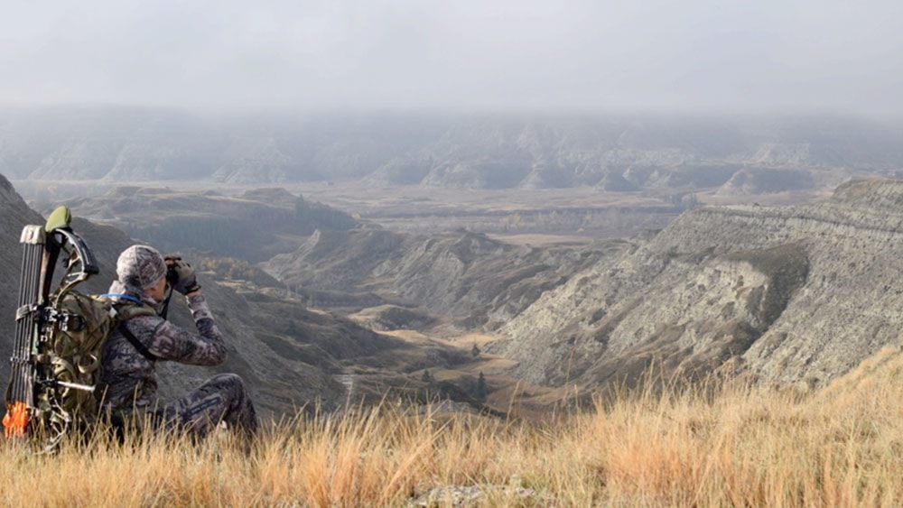 image/jpeg | Out-of-Reach.jpg