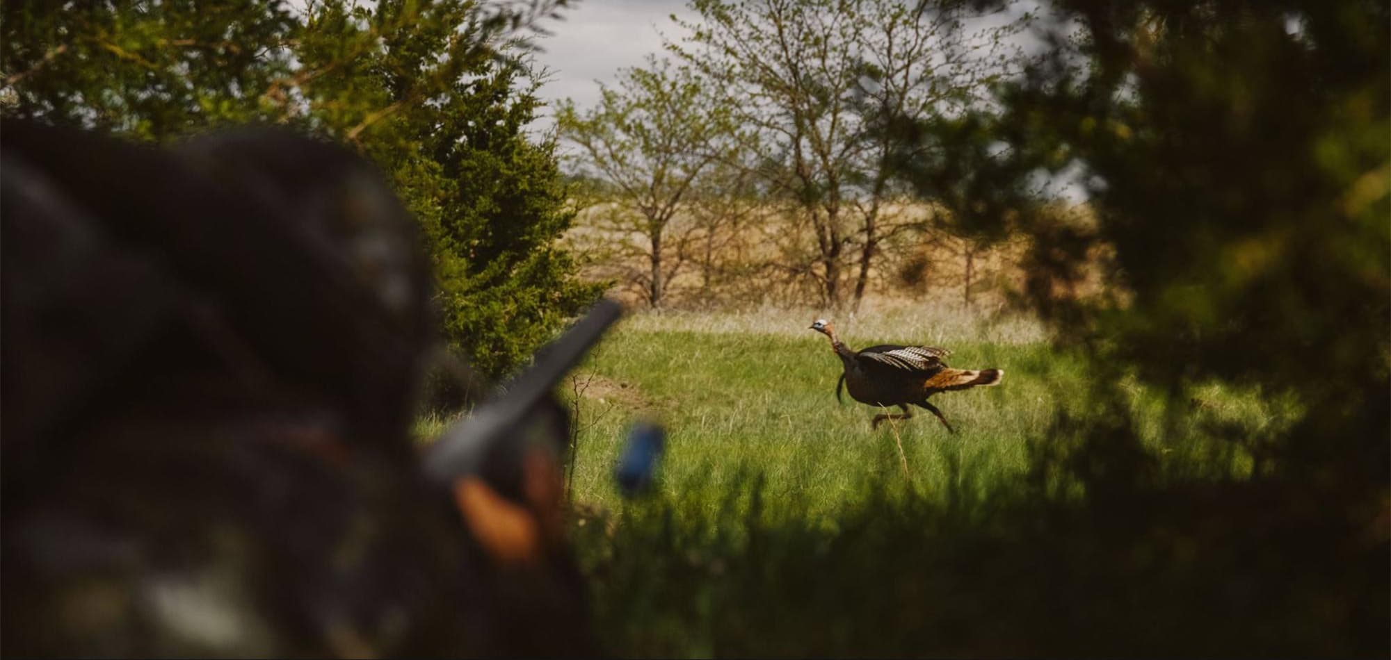 Jonathan Wilkins Turkey Hunting