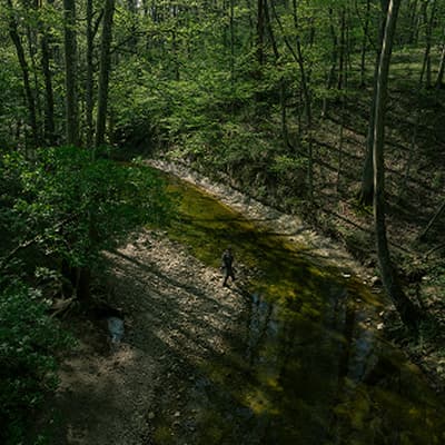 blog-image3