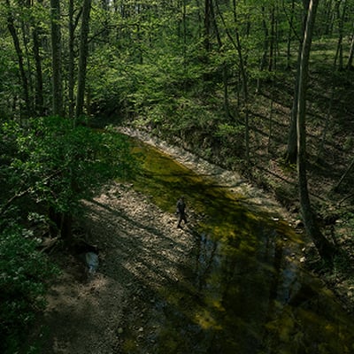 blog-image3