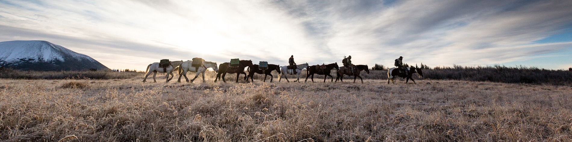 image/jpeg | The-Great-North.jpg