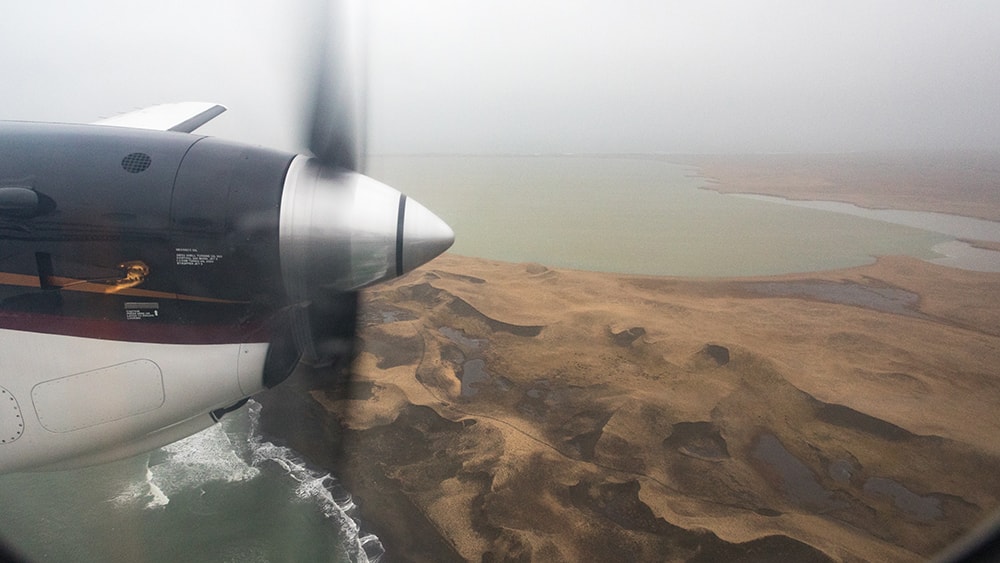 image/jpeg | The-Kings-of-St-Paul.jpg