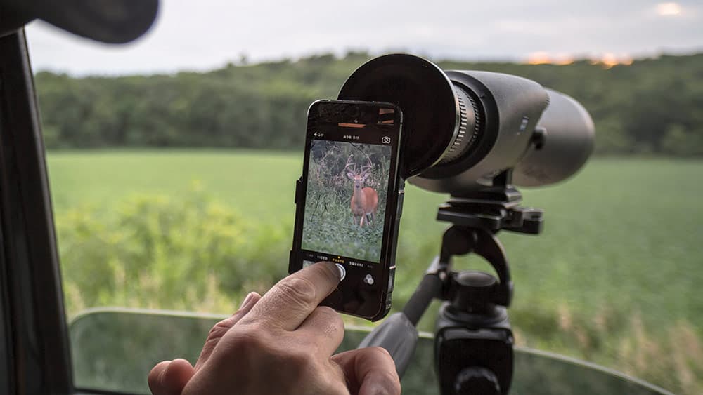 image/jpeg | The-Early-Bird.jpg