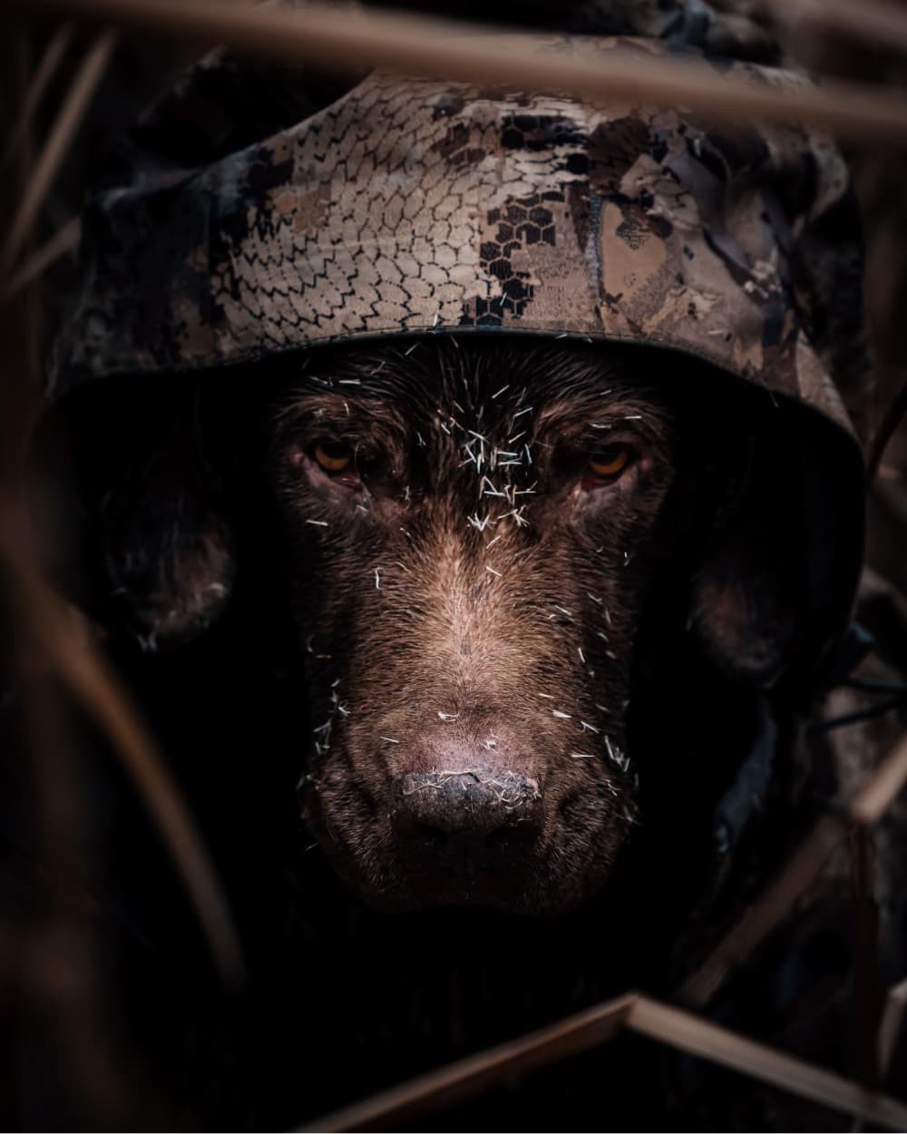 garrett-waterfowl