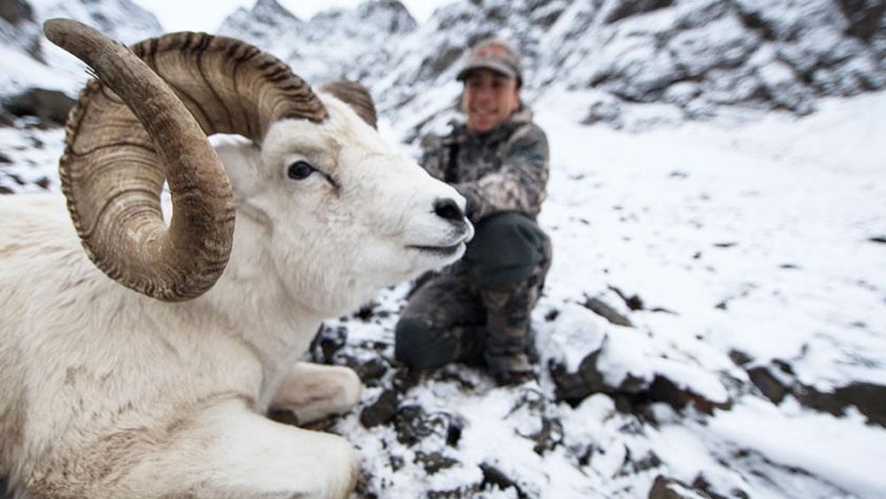 Chugach Warrior