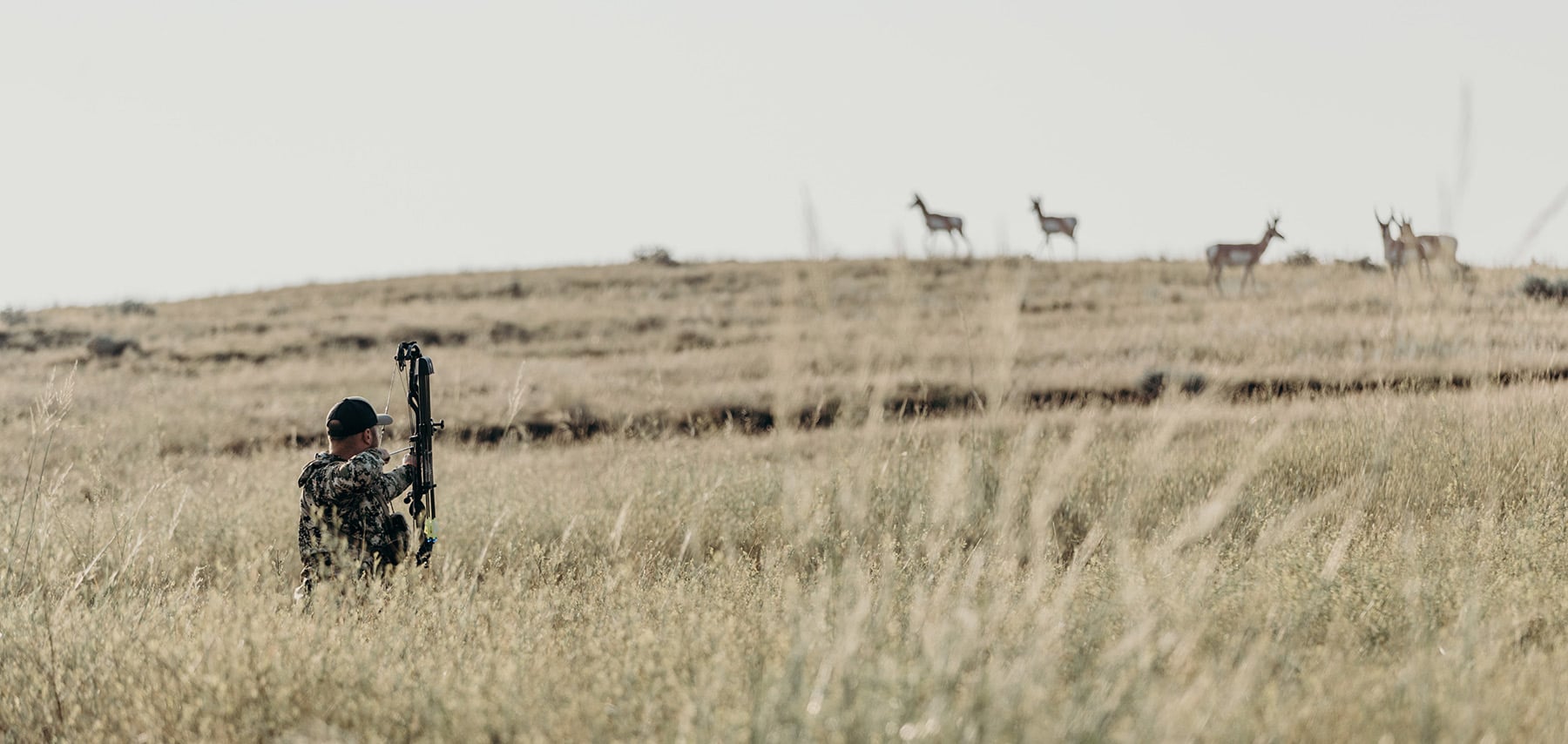 The Sage of Sagebrush