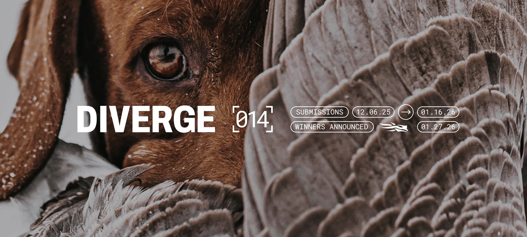 DIVERGE 13 Photo Contest | SITKA Gear