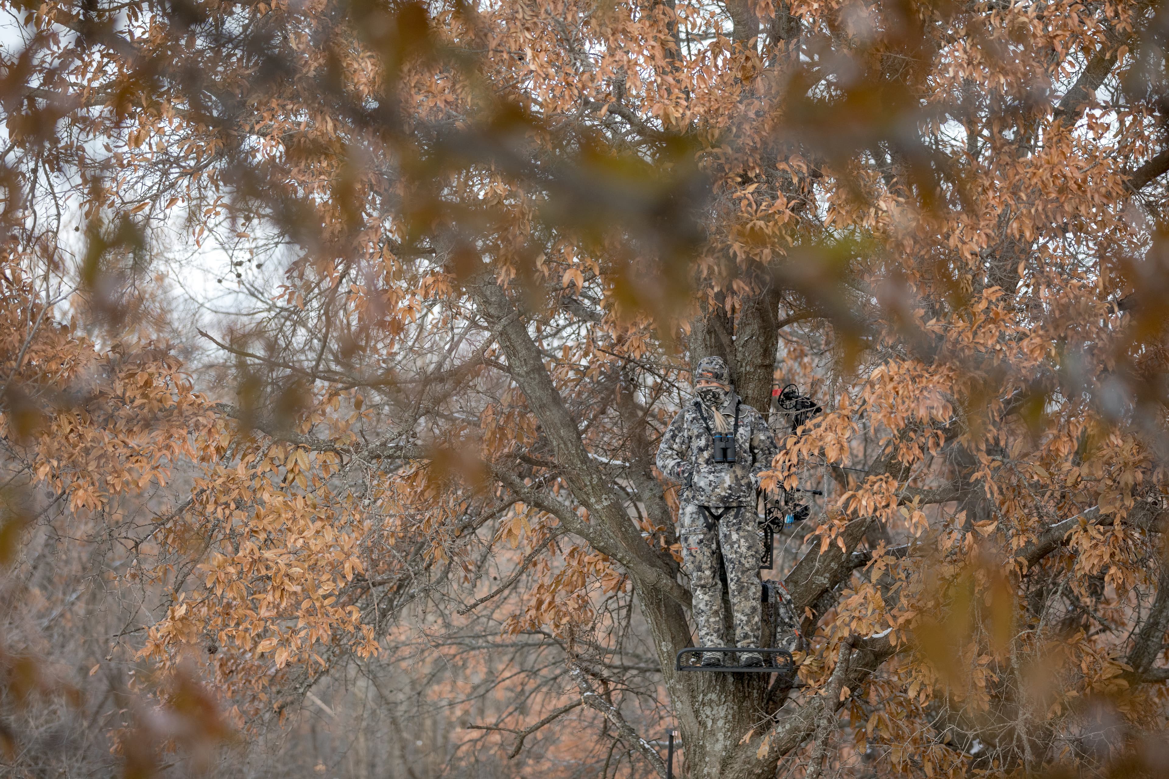 image/jpeg | Second-Chances.jpg