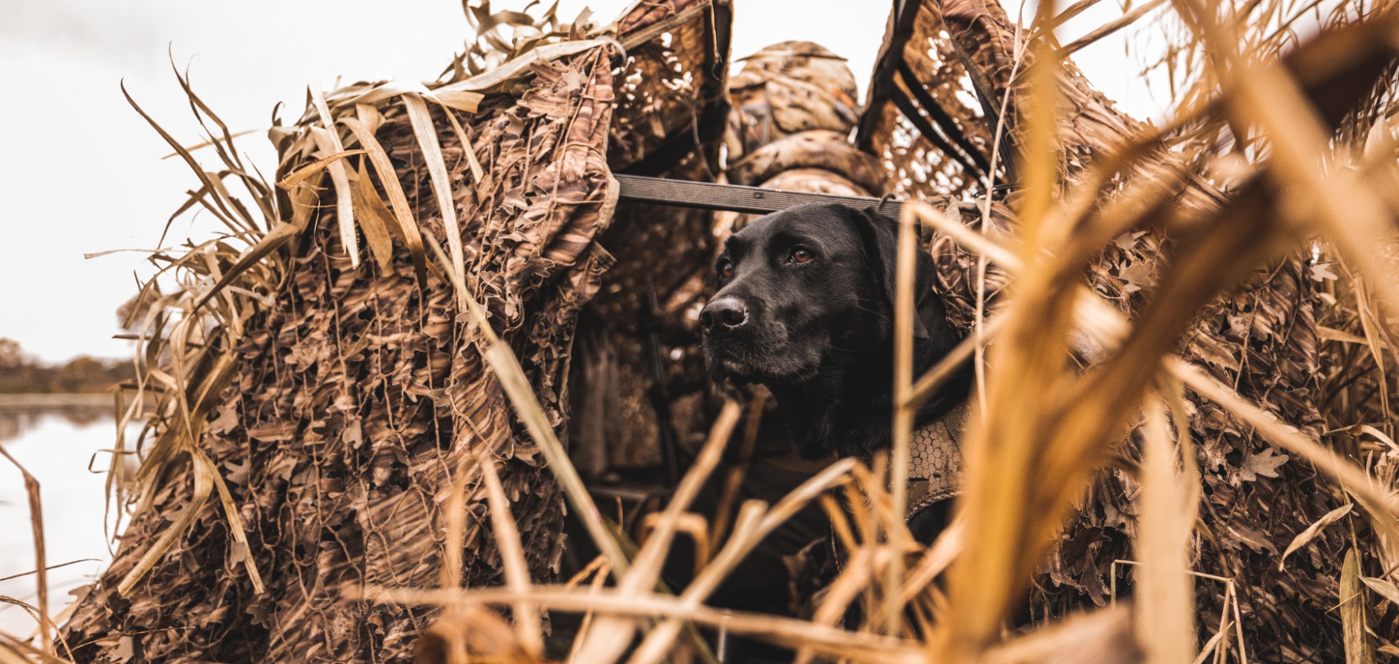Building a Retriever | SITKA Gear
