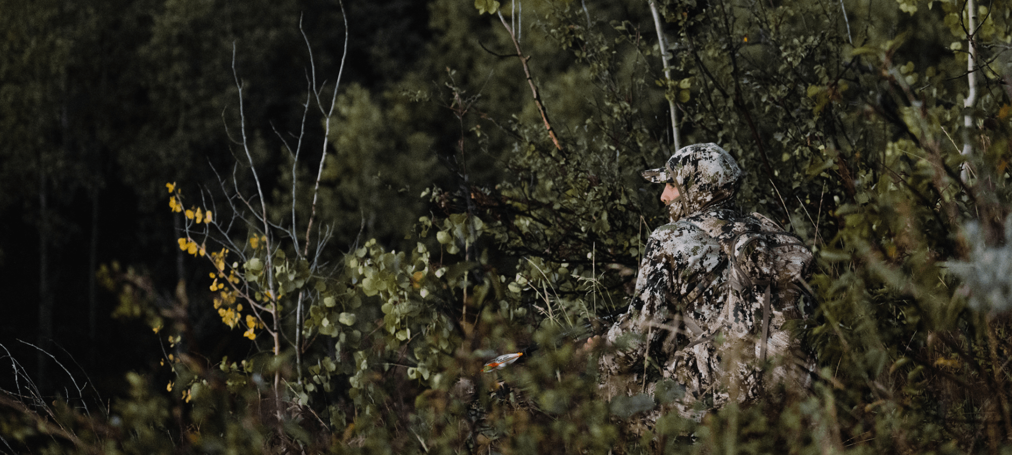 Adam Foss in the Apex Collection stalking in vegetated terrain in Optifade Subalpine | SITKA Gear