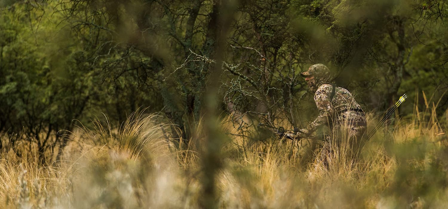 image/jpeg | A-Tale-of-Two-Roars.jpg