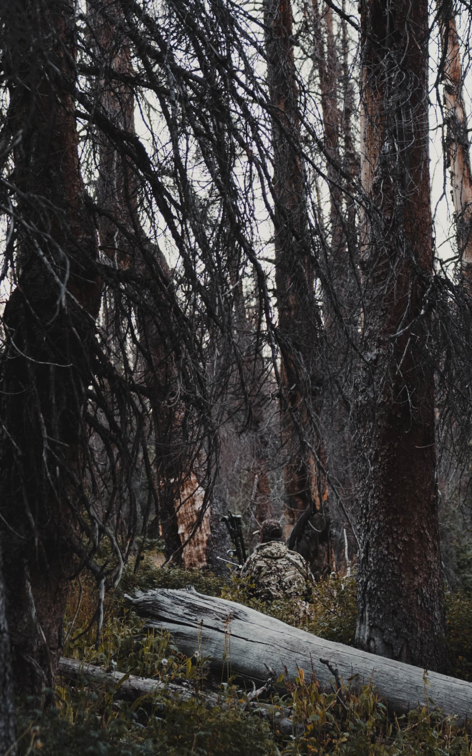Man in Optifade Subalpine elk hunting sitting in vegetated terrain waiting | SITKA Gear