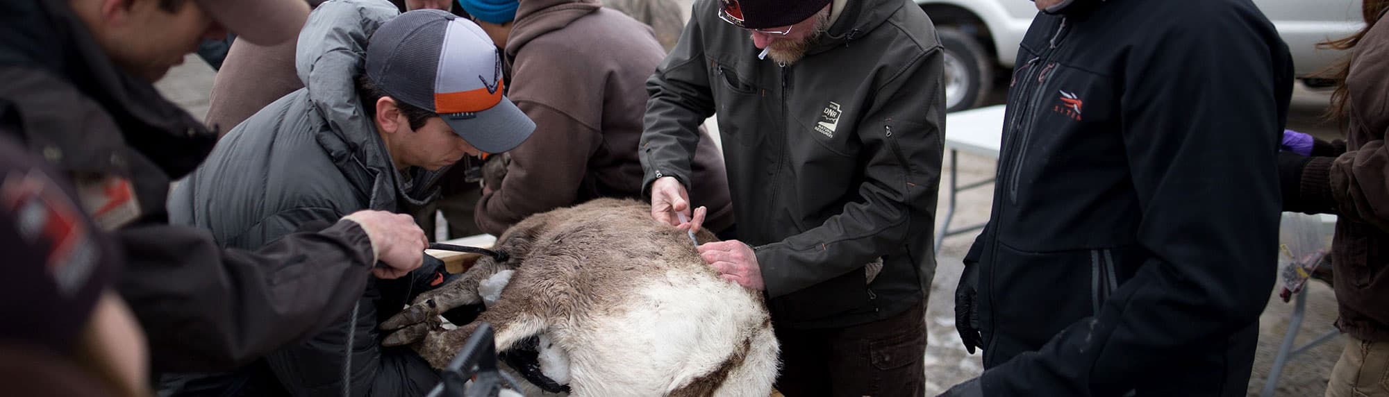 image/jpeg | Stewardship.jpg