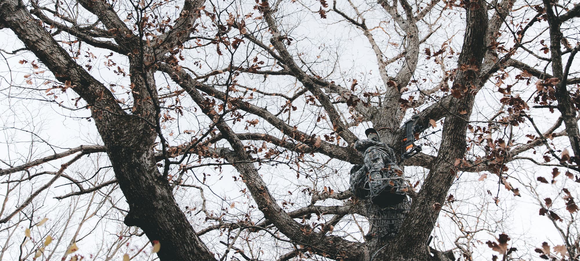 The Innovation No One Saw Coming | SITKA Gear