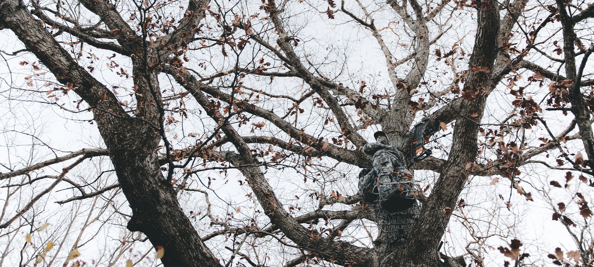 The Innovation No One Saw Coming | SITKA Gear