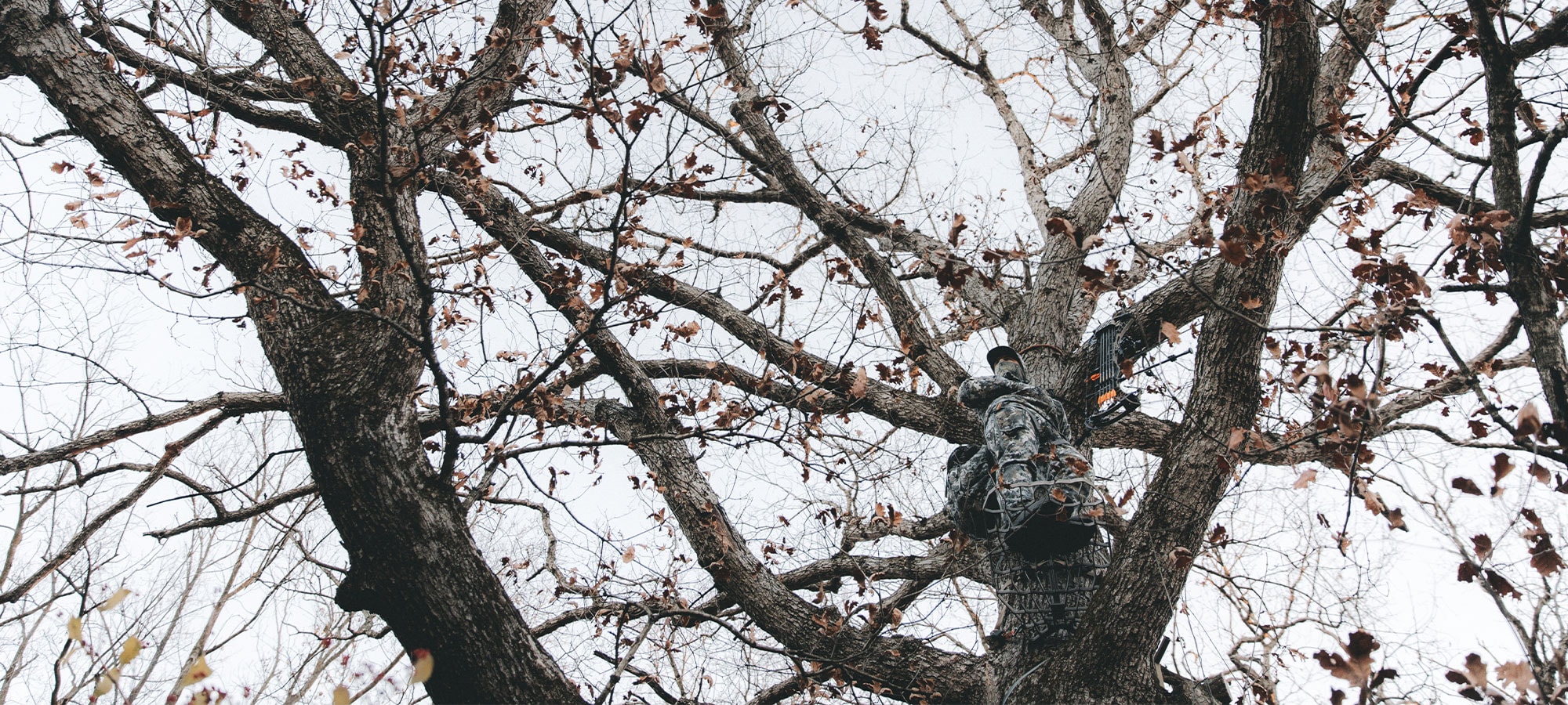 The Innovation No One Saw Coming | SITKA Gear