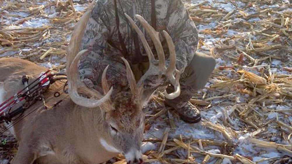 image/jpeg | Monster-in-the-Cornfield.jpg