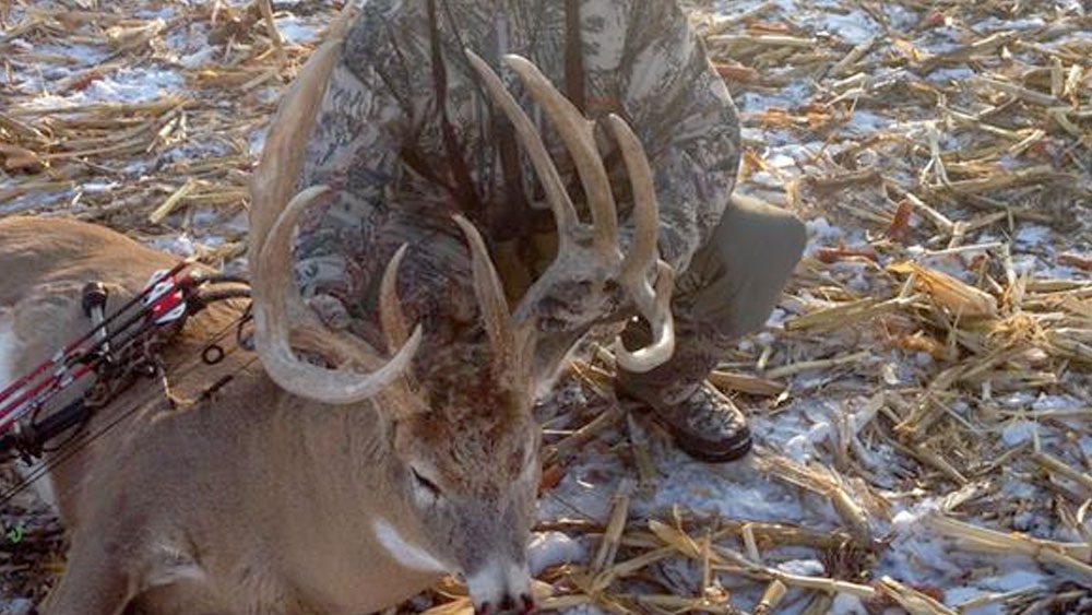 image/jpeg | Monster-in-the-Cornfield.jpg