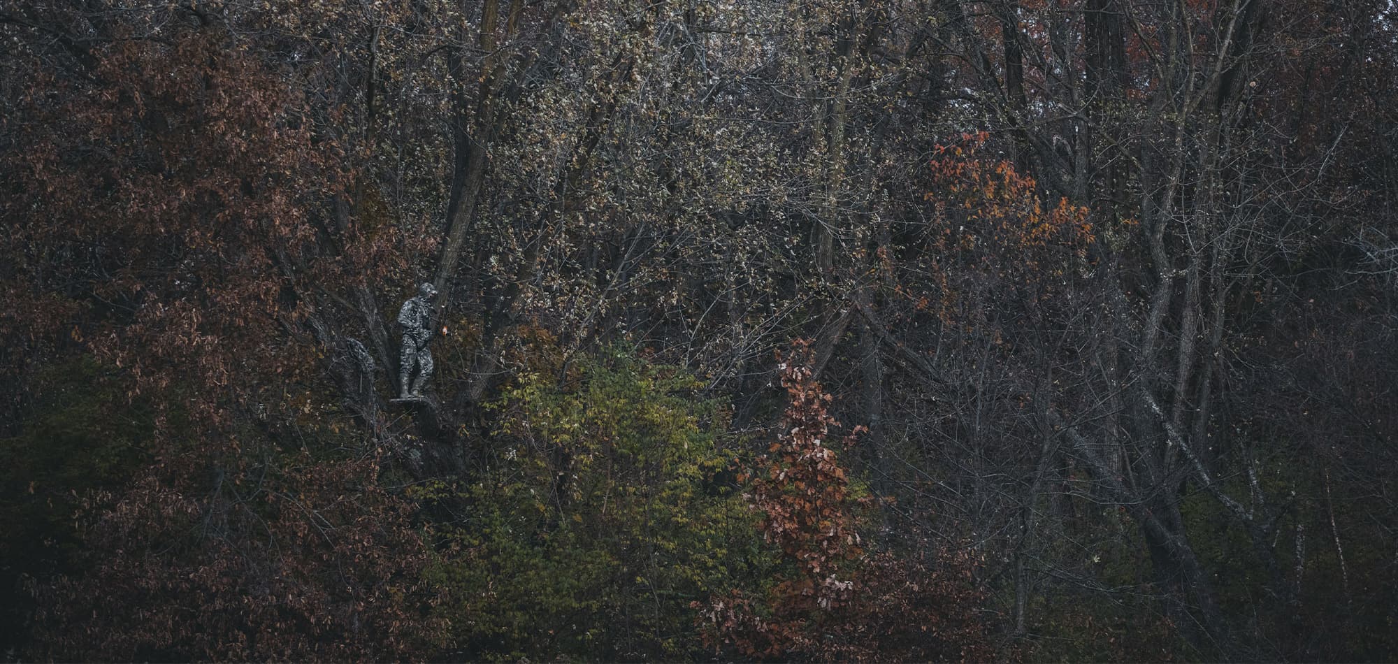 image/jpeg | header.jpg