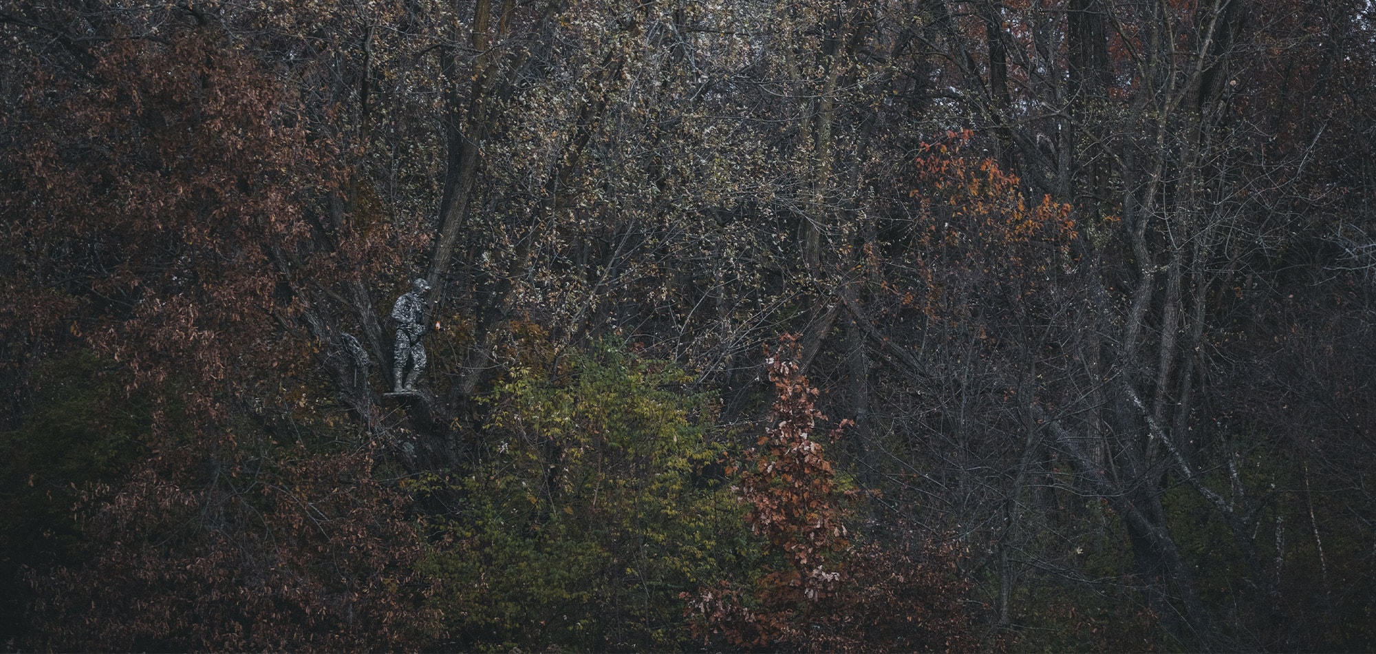 image/jpeg | header.jpg