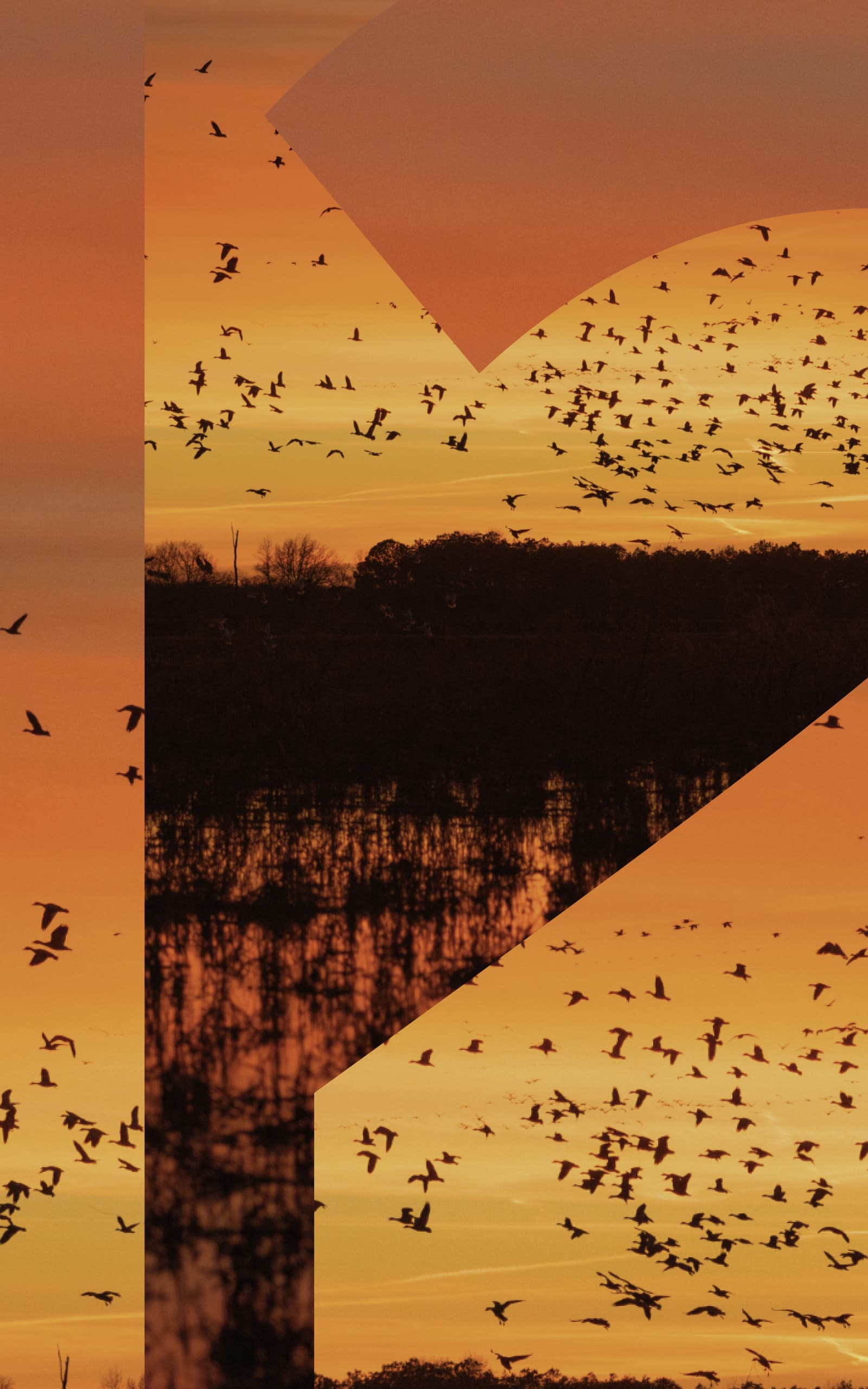 DIVERGE 12 | SITKA Gear